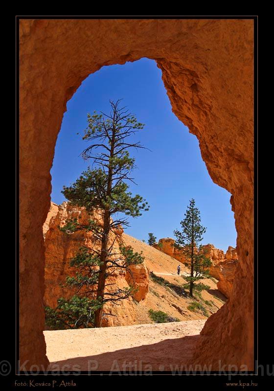 Bryce Canyon 42.jpg
